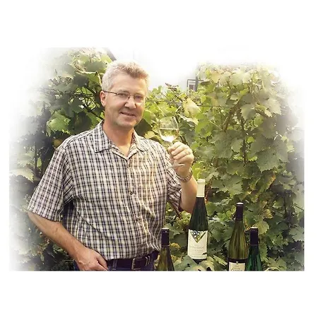 Winery Condne